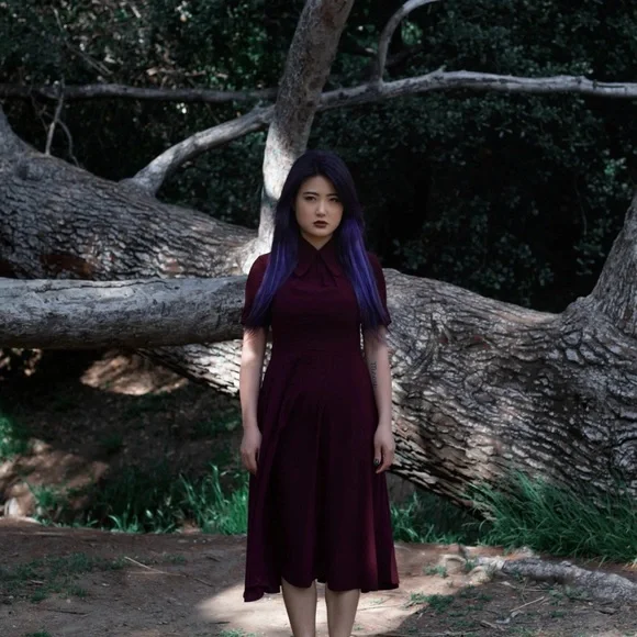 Burgundy Lively Ghosts Overlook A-Line Midi Dress - Picture 11 of 13